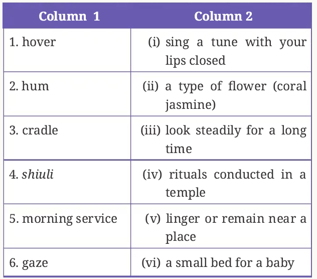 I Cannot Remember My Mother Class 9 NCERT Solution