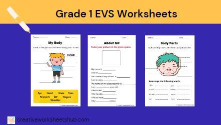 grade 1 evs worksheets creativeworksheetshub