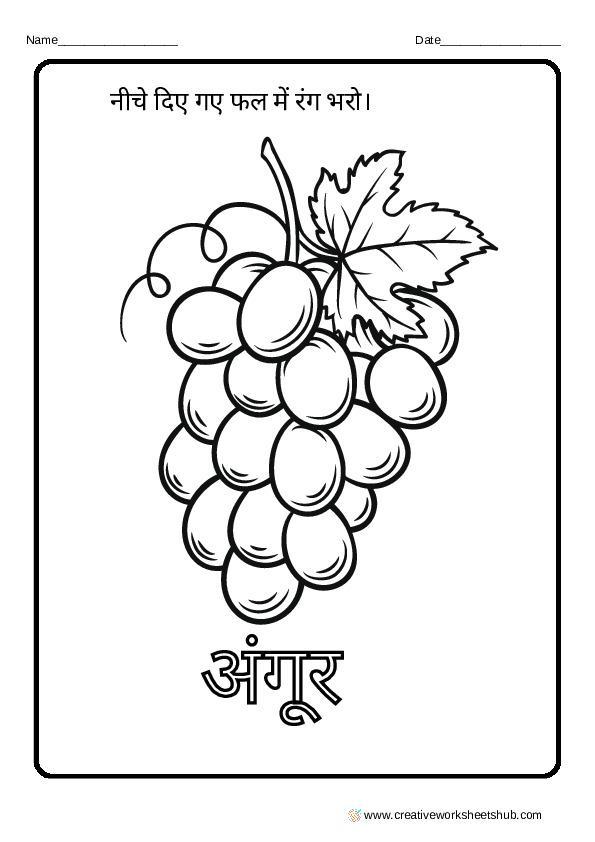 Fruits Coloring Worksheets in Hindi – creativeworksheetshub