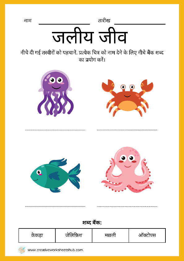 Animal worksheets for class 1 pdf